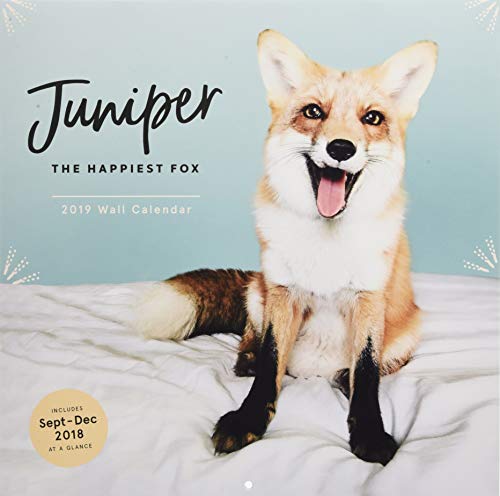 Cover of Juniper - The Happiest Fox