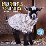 Baby Animals In Sweaters 2020 Wall Calendar 2020 Wall Calendar Cute Wall Calendar Animal Wall Calendar
