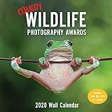 Comedy Wildlife Photography Awards 2020 Calendar