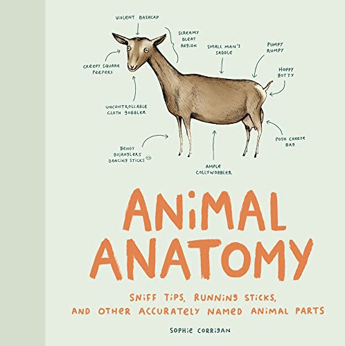 Cover of Animal Anatomy