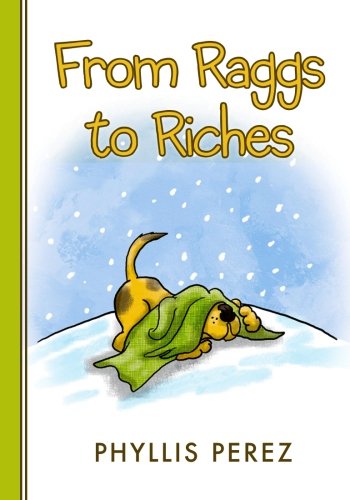 Cover of From Raggs to Riches