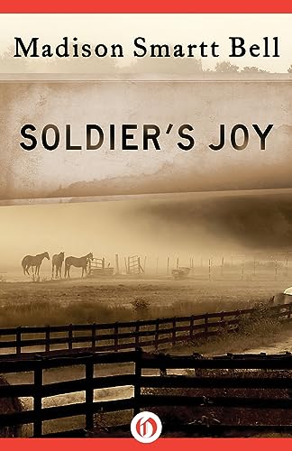 Soldier's Joy book cover