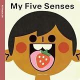 My Five Sense