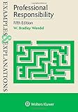 Professional Responsibility Examples Explanations