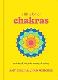 A Little Bit Of Chakras An Introduction To Energy Healing Little Bit Series