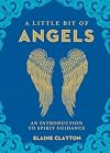 A Little Bit of Angels: An Introduction to Spirit Guidance (Volume 11) (Little Bit Series)