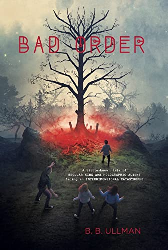 Cover of Bad Order
