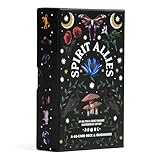 Spirit Allies Oracle: A 60-Card Deck & Guidebook