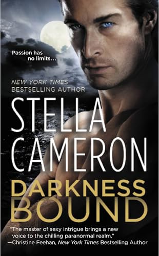 Darkness Bound book cover