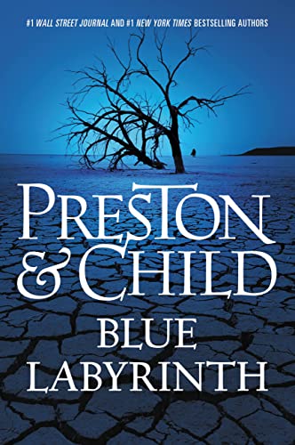 Blue Labyrinth book cover