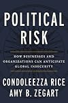 Political Risk: How Businesses and Organizations Can Anticipate Global Insecurity