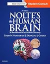 Nolte's The Human Brain: An Introduction to its Functional Anatomy