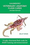 Veterinary Anatomy Flash Cards