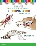 Veterinary Anatomy Coloring Book