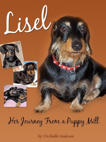 Cover of Lisel