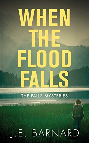 When the Flood Falls book cover
