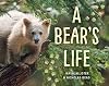 A Bear's Life