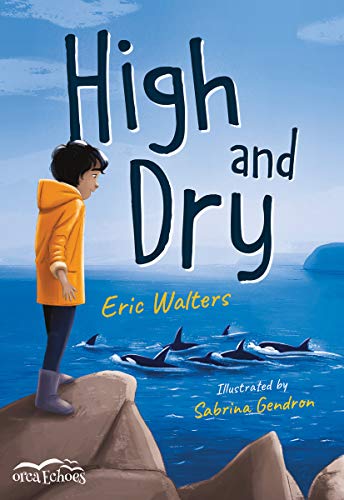 High and Dry book cover