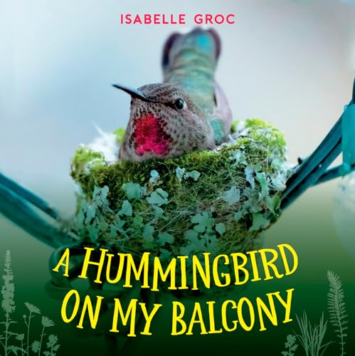 A Hummingbird On My Balcony / by Groc, Isabelle