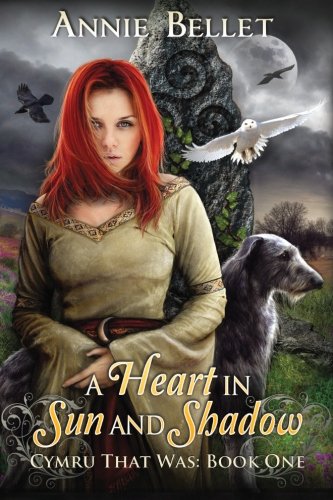A Heart in Sun and Shadow cover