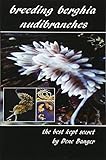 Breeding Berghia Nudibranches The Best Kept Secret