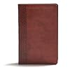 CSB Everyday Study Bible