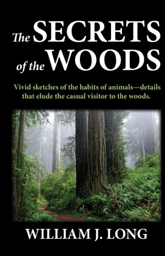 Cover of Secrets of the Woods