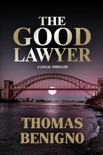 The Good Lawyer book cover