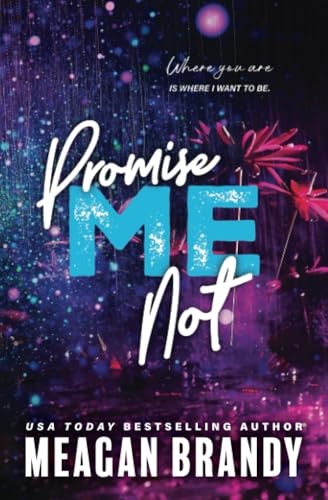 Promise Me Not book cover