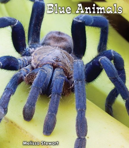 Cover of Blue Animals