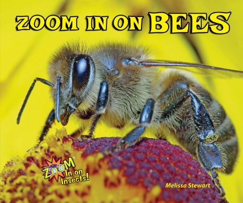 Cover of Zoom in on Bees