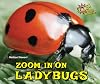 Zoom in on Ladybugs (Zoom in on Insects!)
