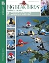 Big Beak Birds in Plastic Canvas Leisure Arts #5853