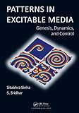 Patterns in excitable media