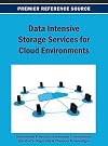 Data intensive storage services for cloud environments