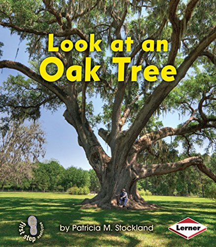 Cover of Look at an oak tree