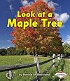 Look at a Maple Tree (First Step Nonfiction ― Look at Trees)