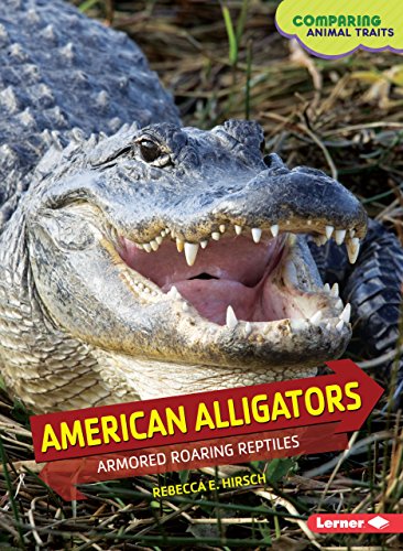 Cover of American Alligators