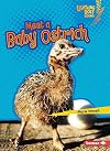 Meet a Baby Ostrich (Lightning Bolt Books - Baby African Animals)