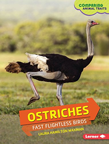 Cover of Ostriches