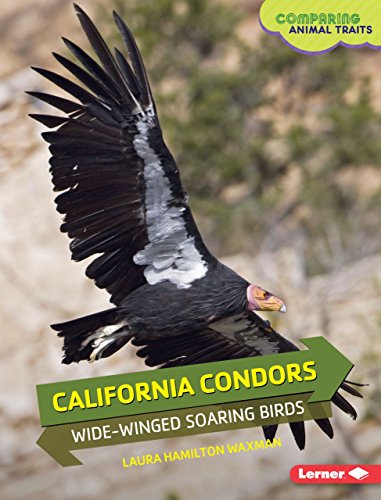 Cover of California condors