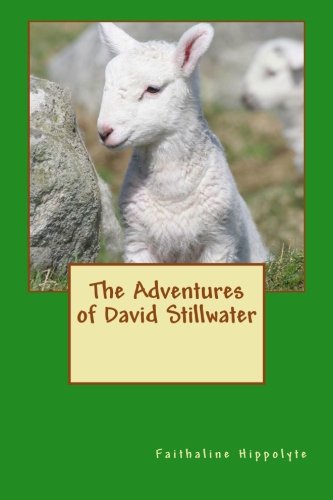 Cover of Adventures of David Stillwater