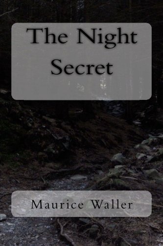 Cover of Night Secret