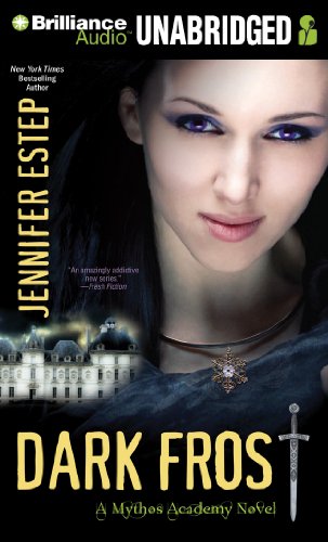 Dark Frost book cover