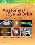 Anatomy Of The Eye And Orbit The Clinical Essentials