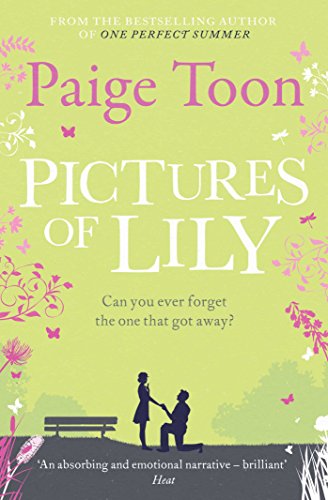 Pictures of Lily book cover