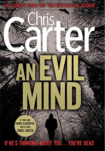 An Evil Mind book cover
