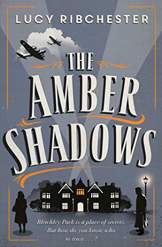 The Amber Shadows book cover