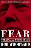 Fear Trump In The White House