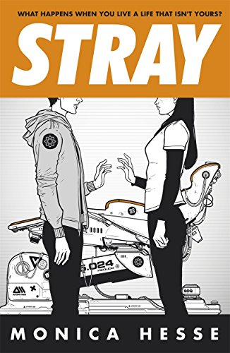 Stray book cover
